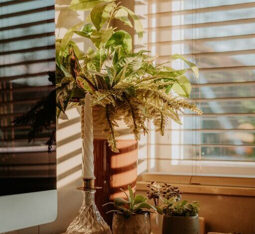 Simple Tips for Creating a Cozy and Inviting Home Office Space